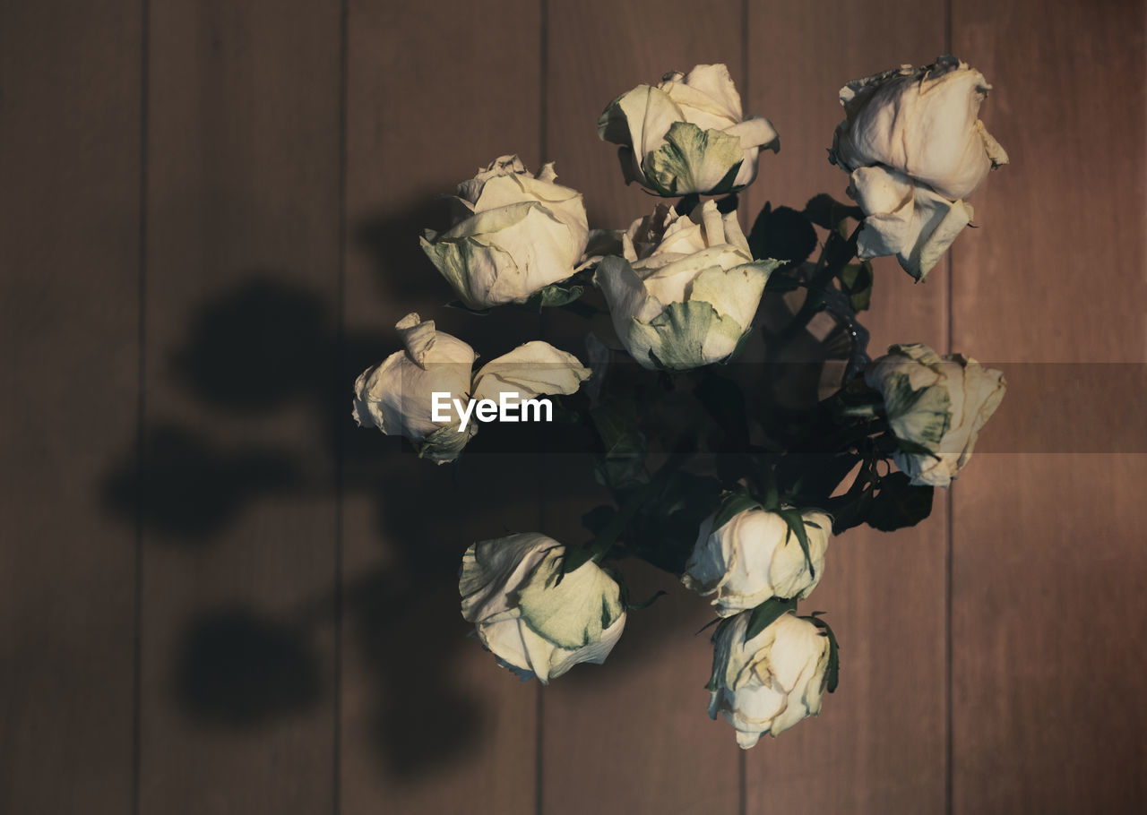 DIRECTLY ABOVE SHOT OF ROSE PLANT ON TABLE