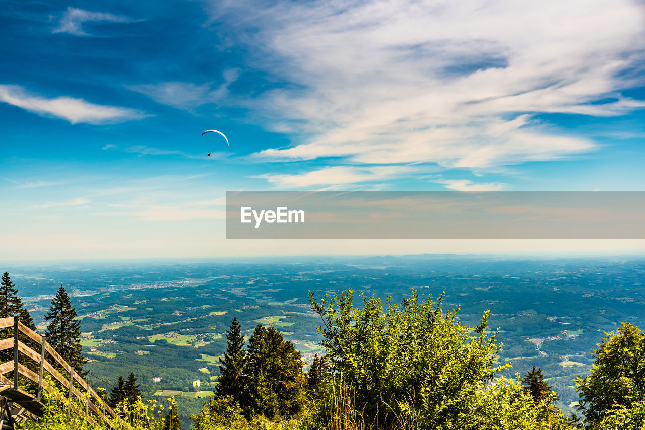 SCENIC VIEW OF TREE AGAINST SKY