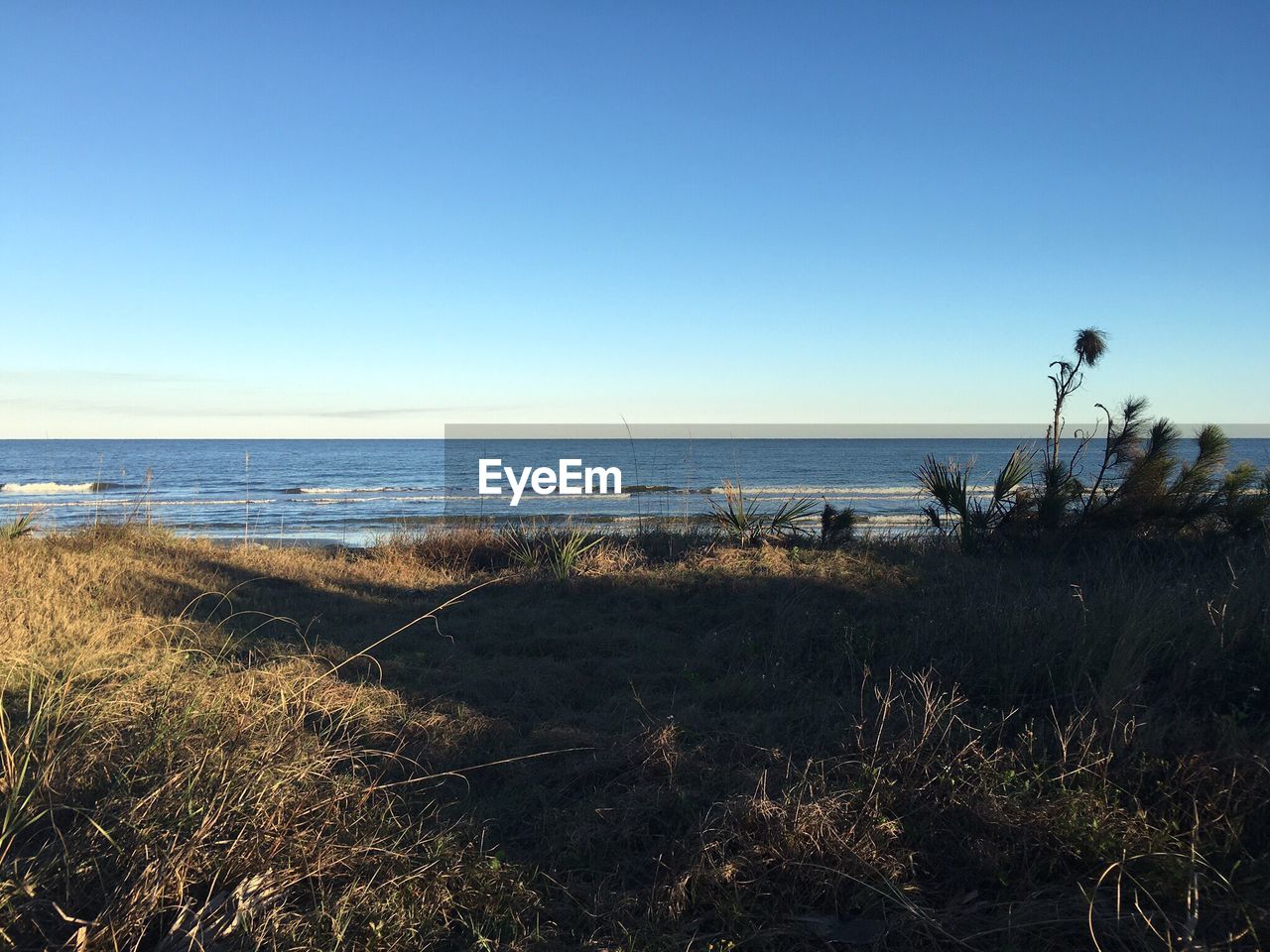 Scenic view of sea against clear blue sky