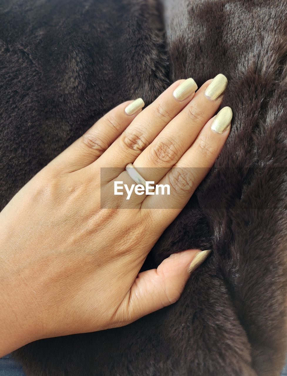 hand, fur, animal, animal themes, brown, finger, ring, mammal, adult, close-up, skin, one animal, jewelry, fashion accessory, textile, women, nail, love, nose, one person, wedding ring, indoors, domestic animals, pet, animal body part, positive emotion, nail polish, cat, lifestyles, emotion, black