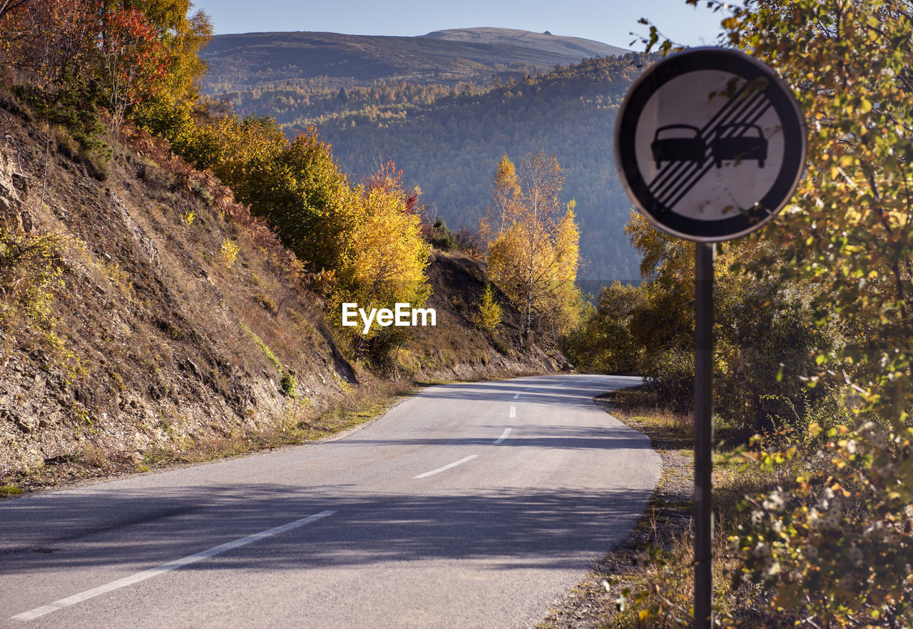 Road sign by trees