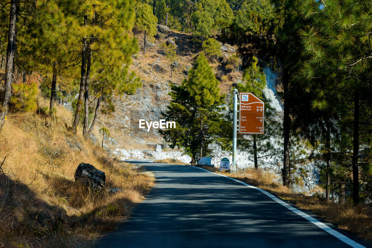 Empty road amidst trees