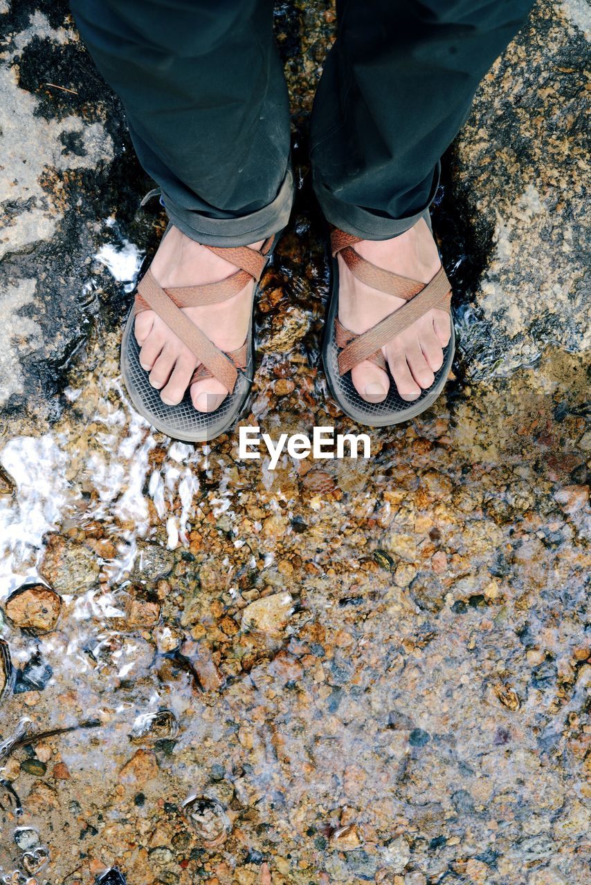 Low section of person standing on field by water