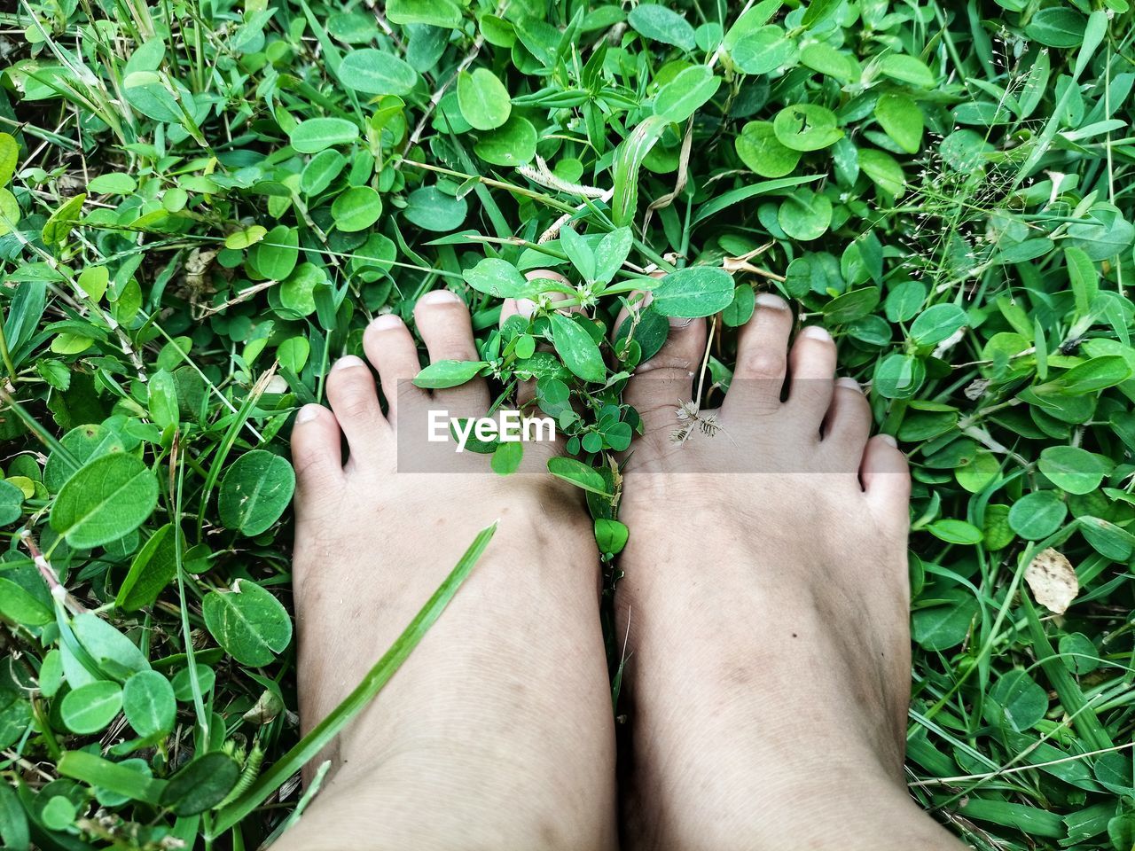 LOW SECTION OF PERSON WEARING SHOES ON PLANT