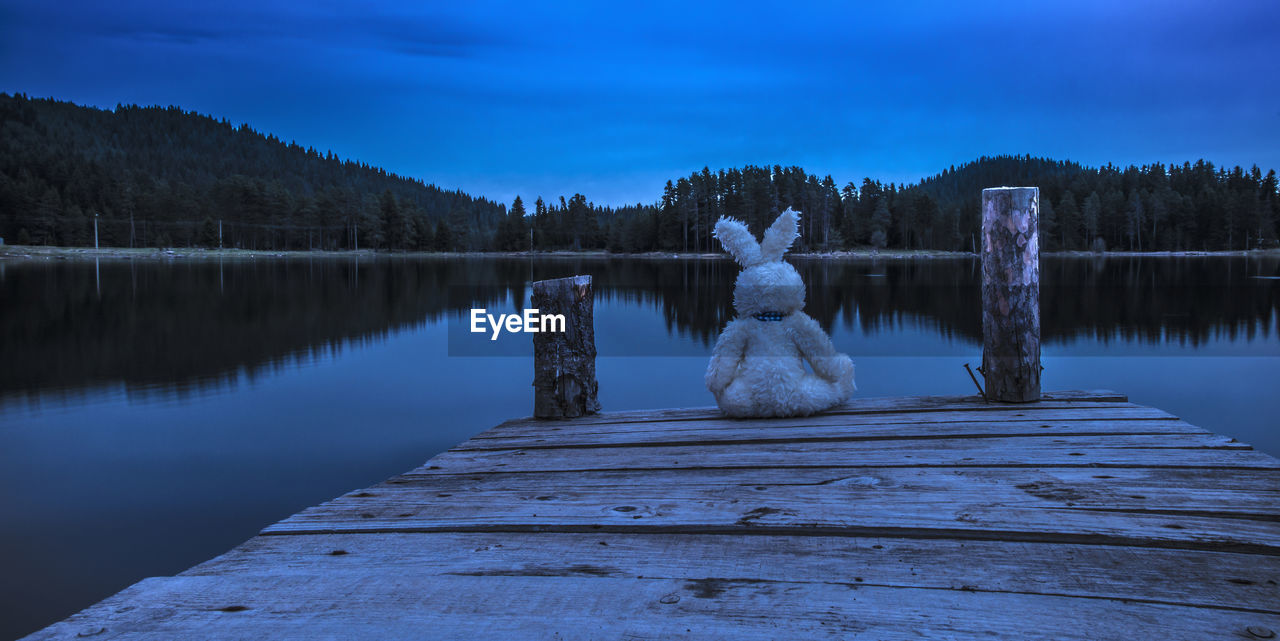 WOODEN STRUCTURE IN LAKE AGAINST BLUE SKY