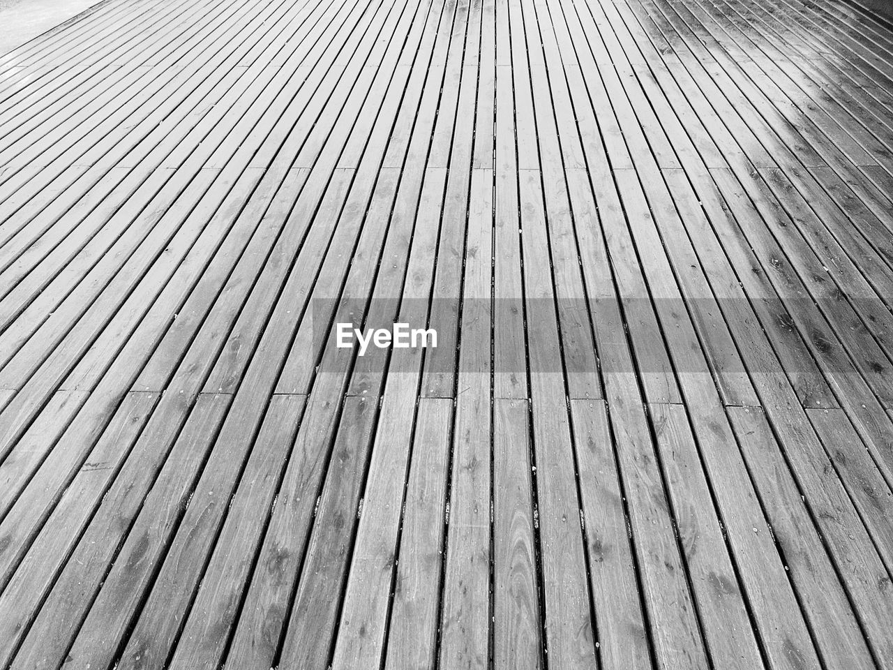 FULL FRAME SHOT OF WOOD WITH TREE