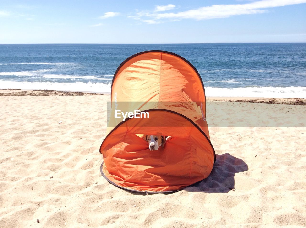 CLOSE-UP OF RING ON BEACH