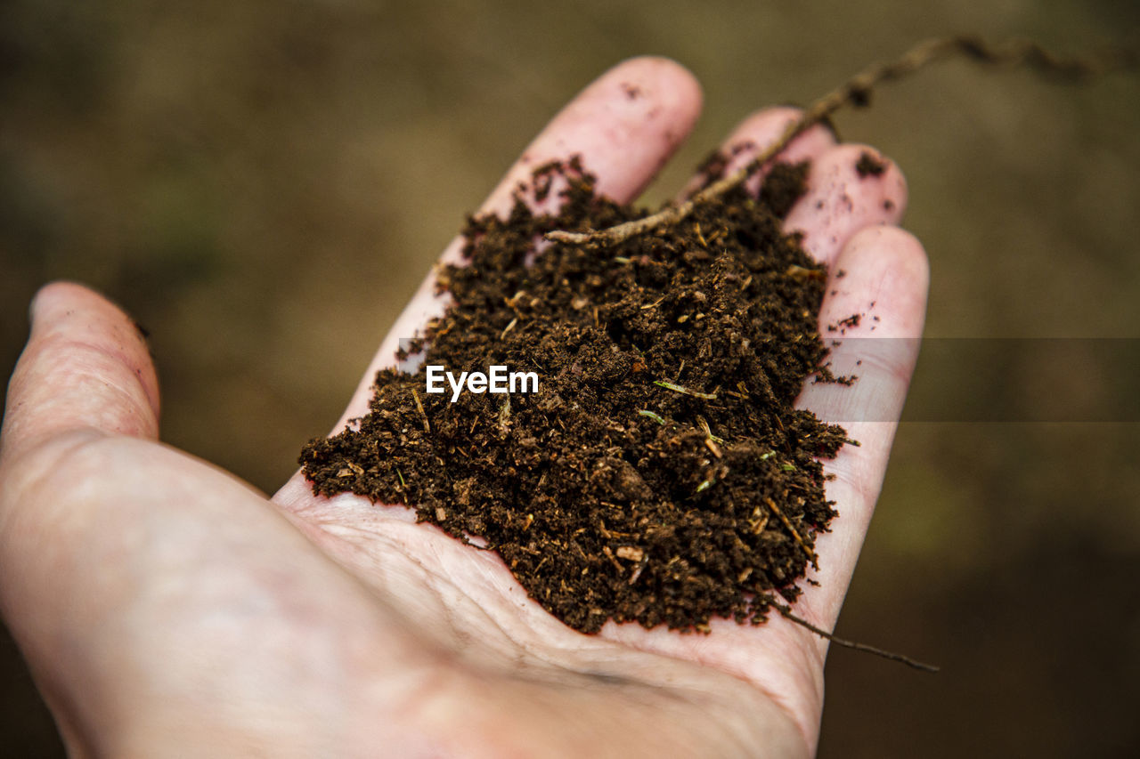 Close-up of hand holding soil