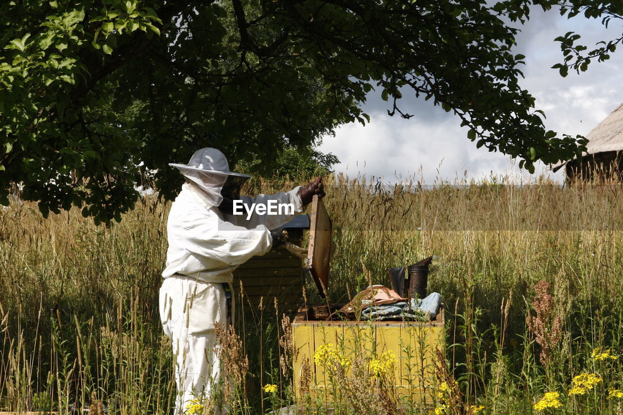 Man working on field by beehive