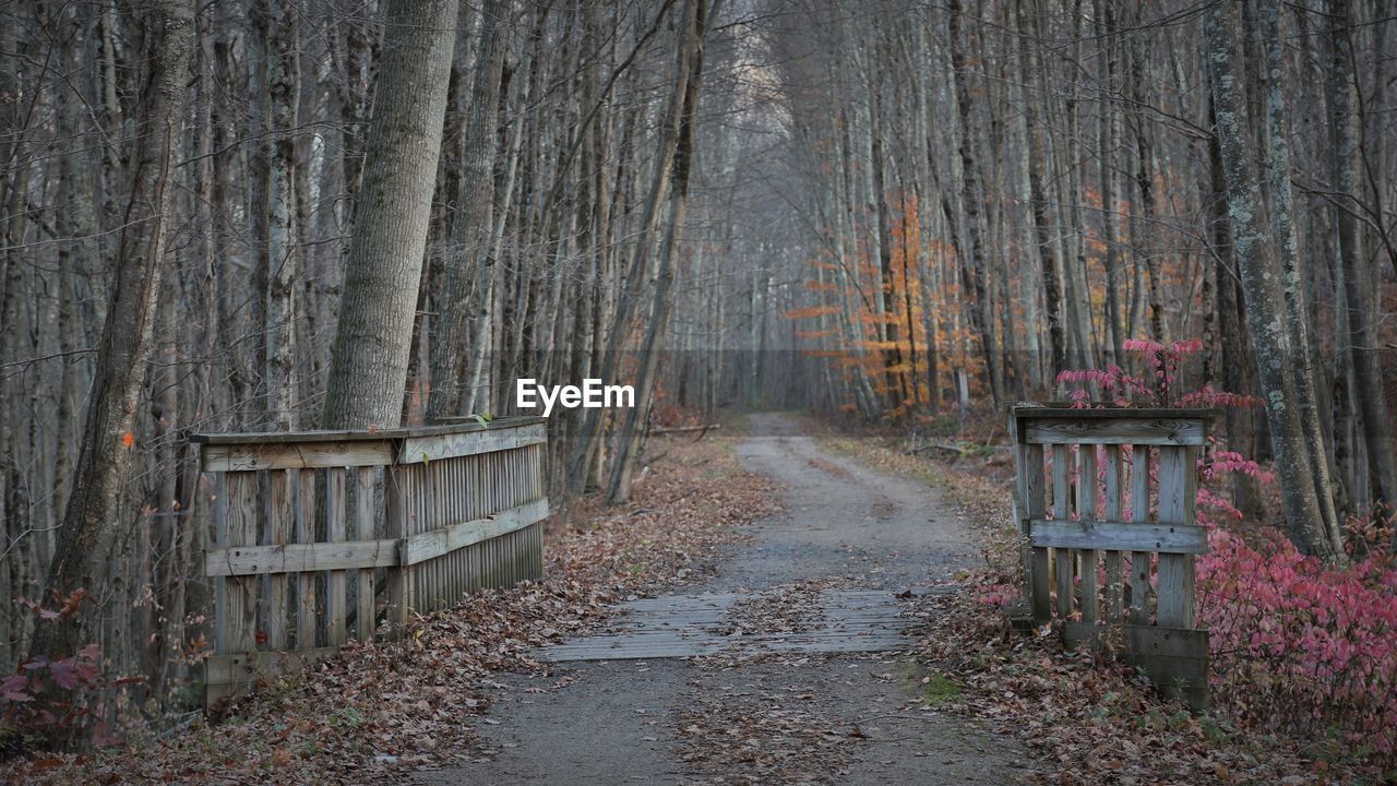 Footpath amidst trees in forest during autumn