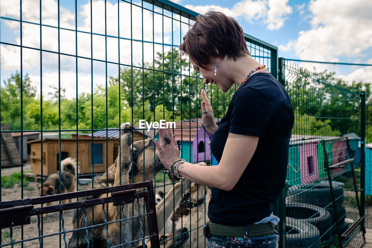 Dog at the shelter. animal shelter volunteer takes care of dogs. 