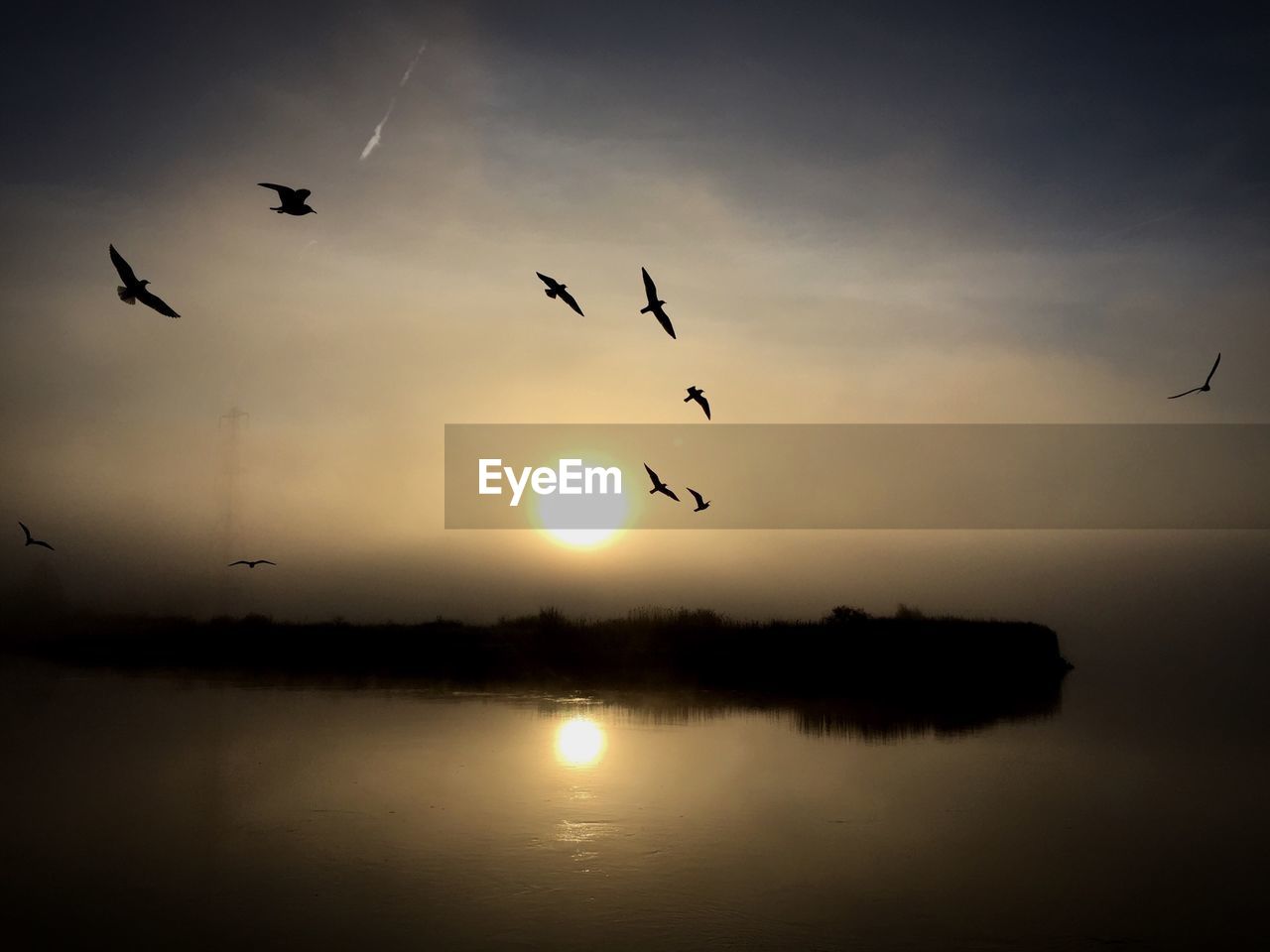 Silhouette birds flying over river against sky during sunset