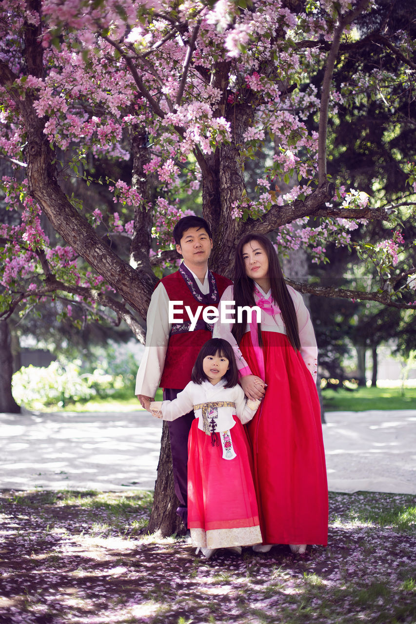 Korean family in national costumes in nature stands next to a cherry blossoming tree.
