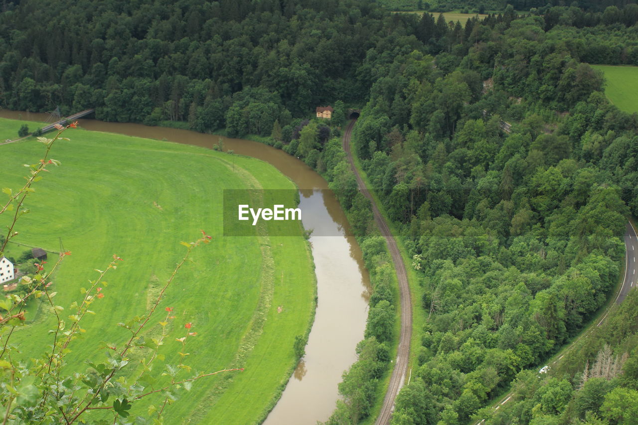 High angle view of road amidst trees on field