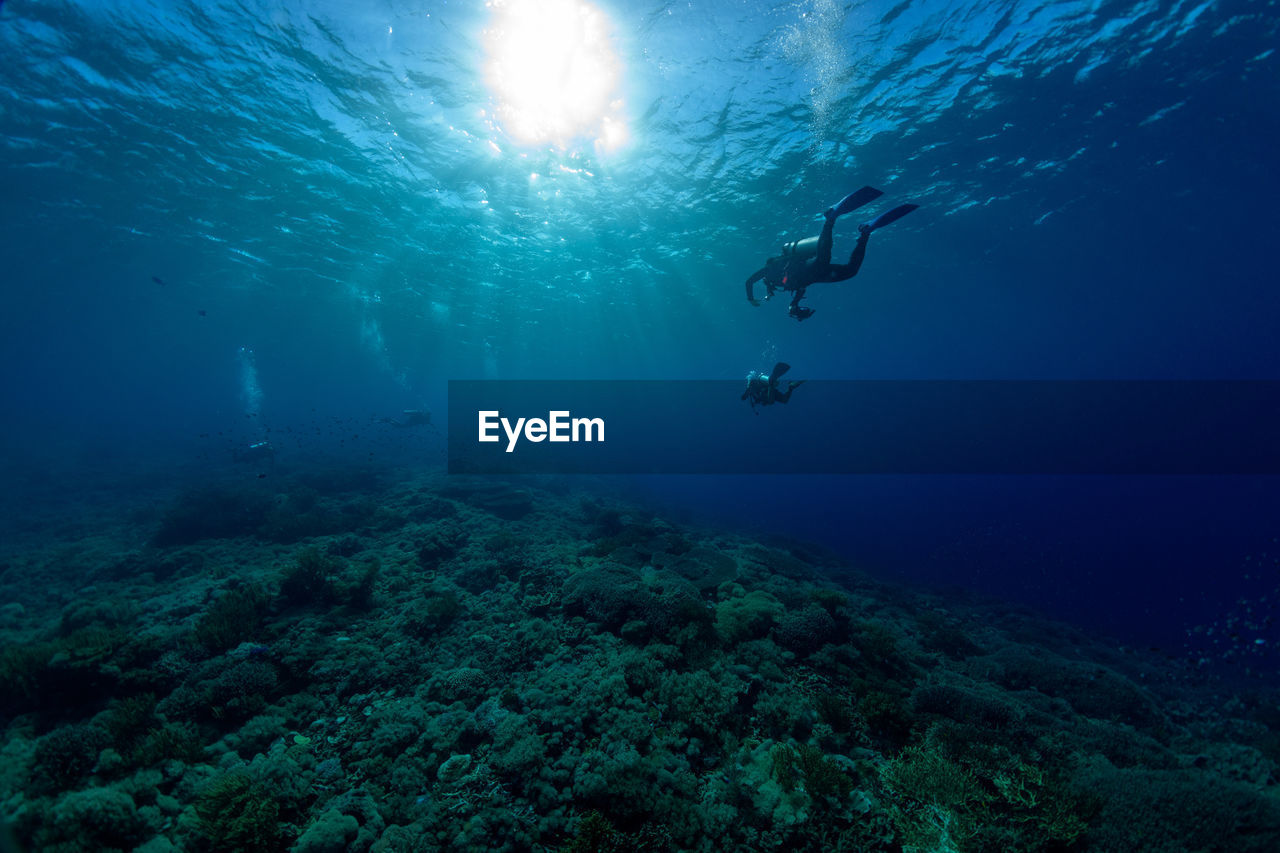 People swimming in sea