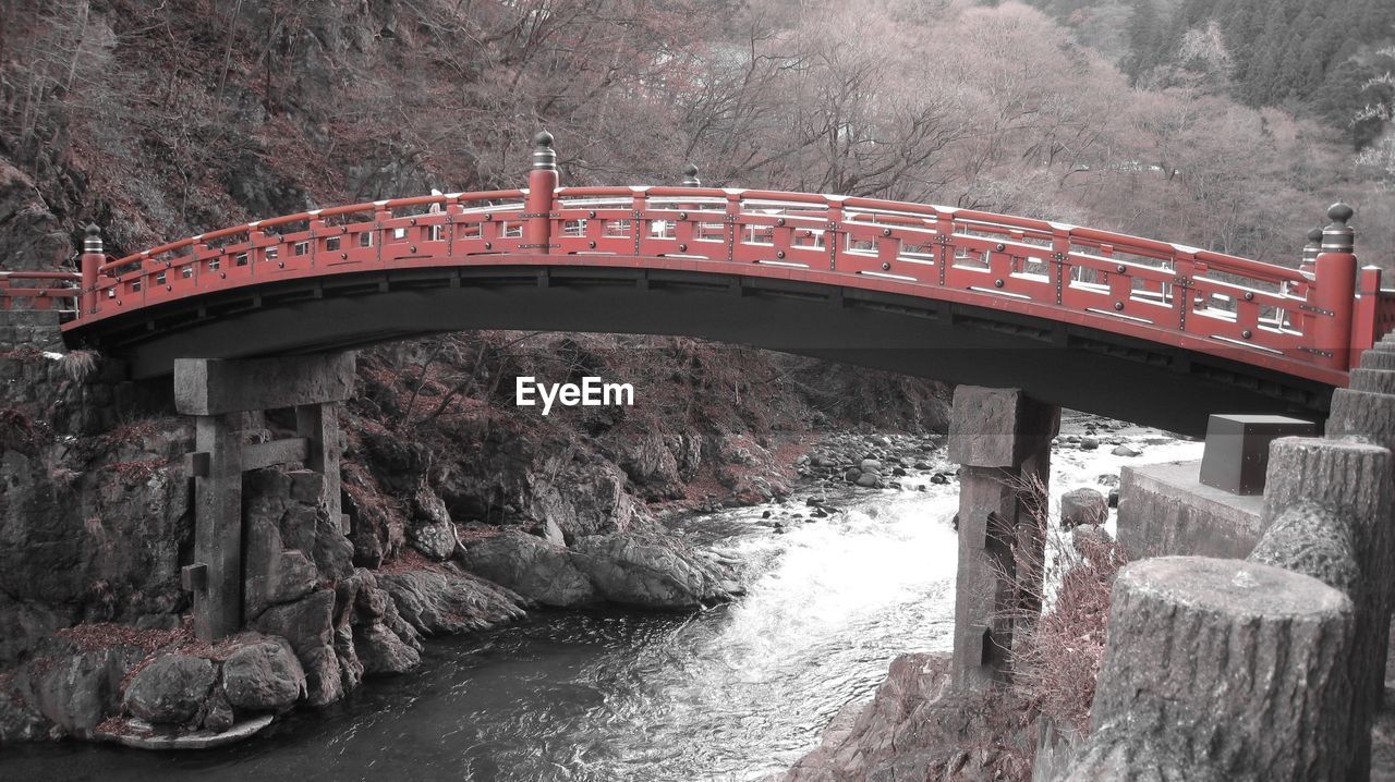 Bridge over river in forest