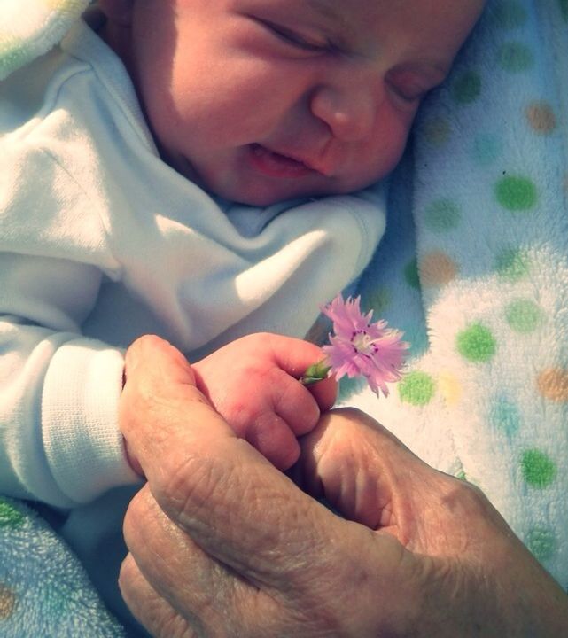 Cropped hand touching baby holding flower
