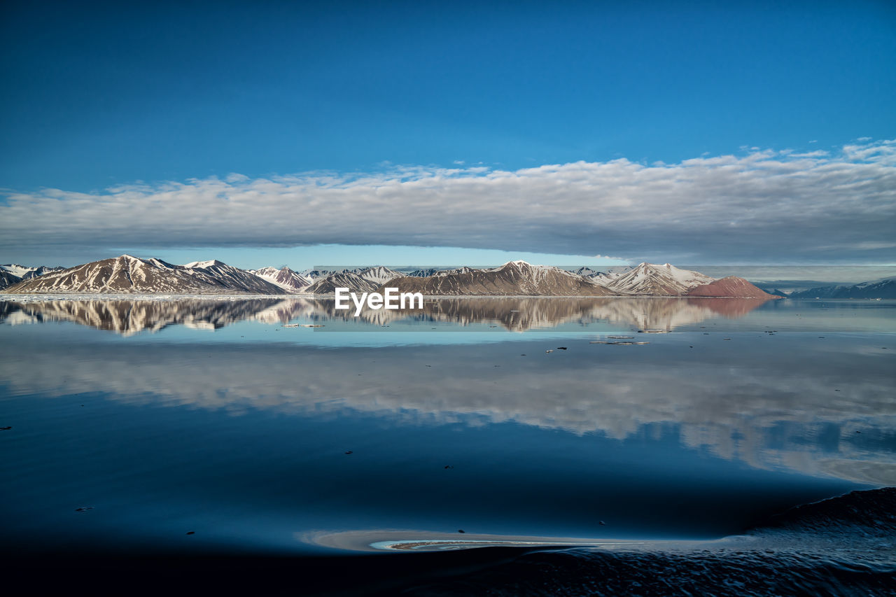 Woodfjord in spitsbergen