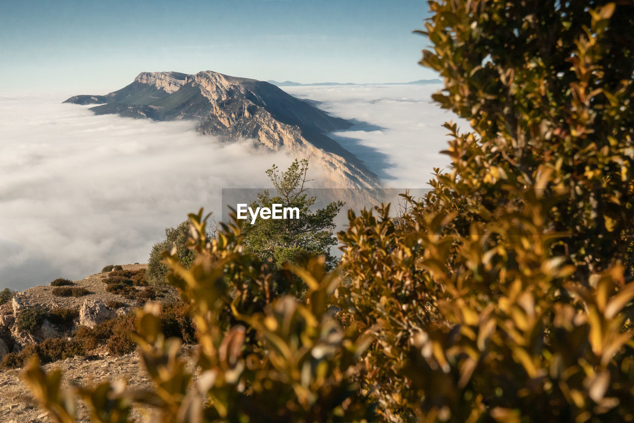 Scenic view of mountains amidst cloudy sky