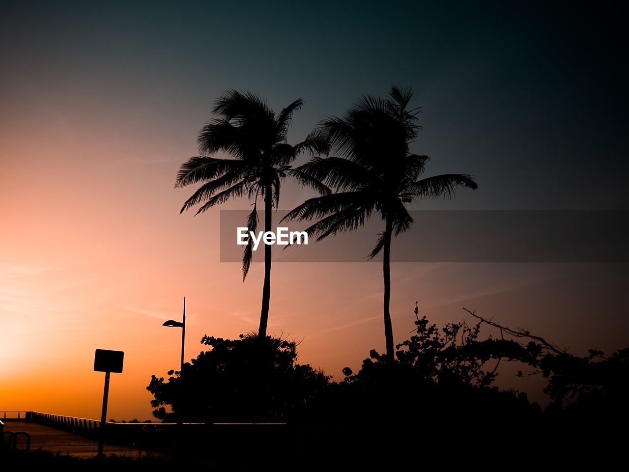 Silhouette palm trees against sky at dusk