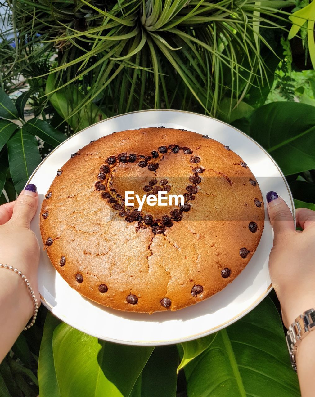 High angle view of hand holding cake