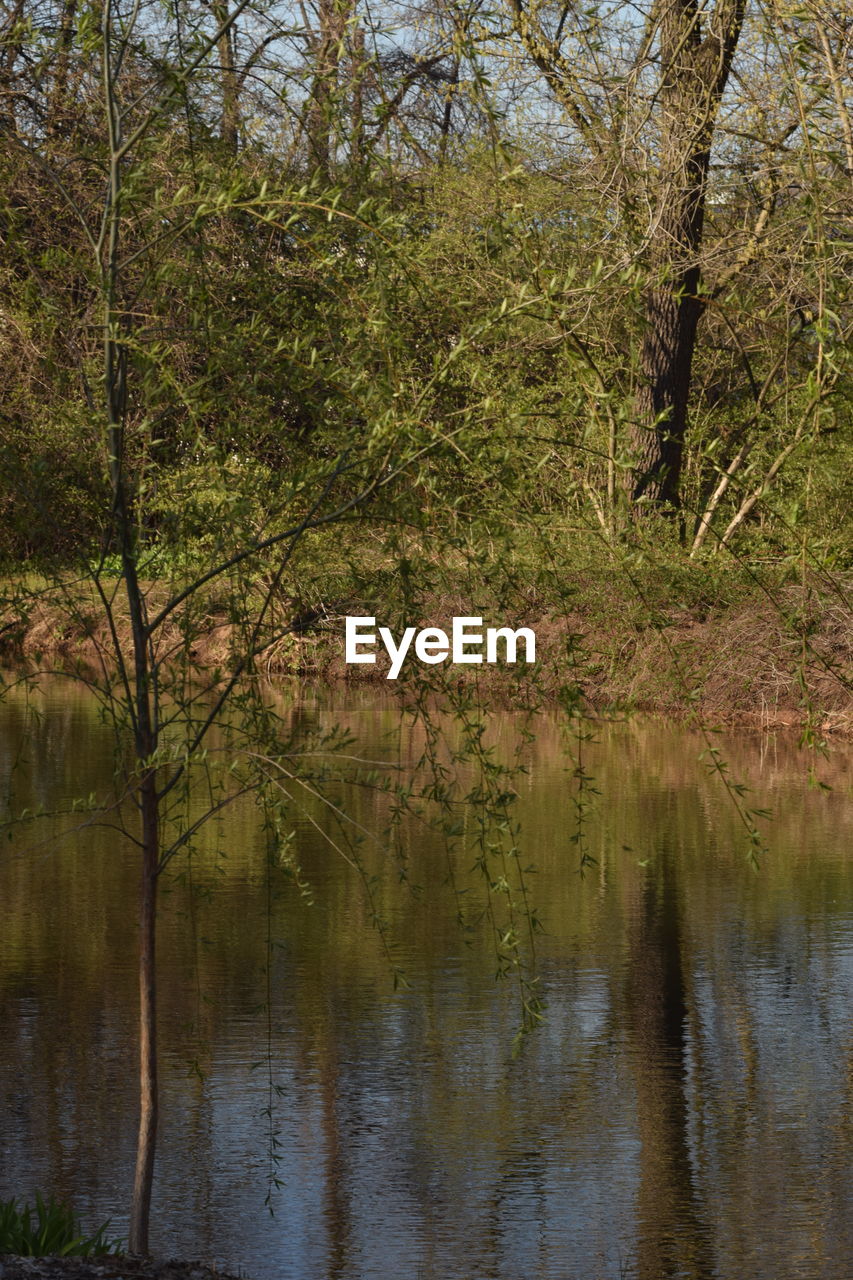 SCENIC VIEW OF LAKE