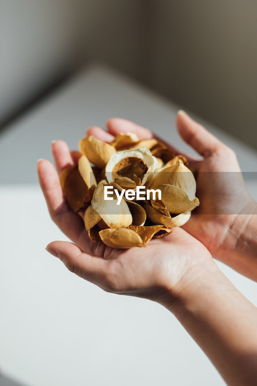 CLOSE-UP OF PERSON HOLDING ICE CREAM CONE