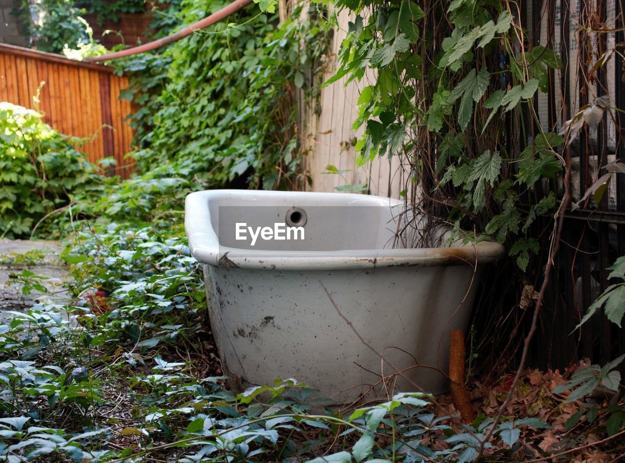 Old bathtub abandoned in the yard