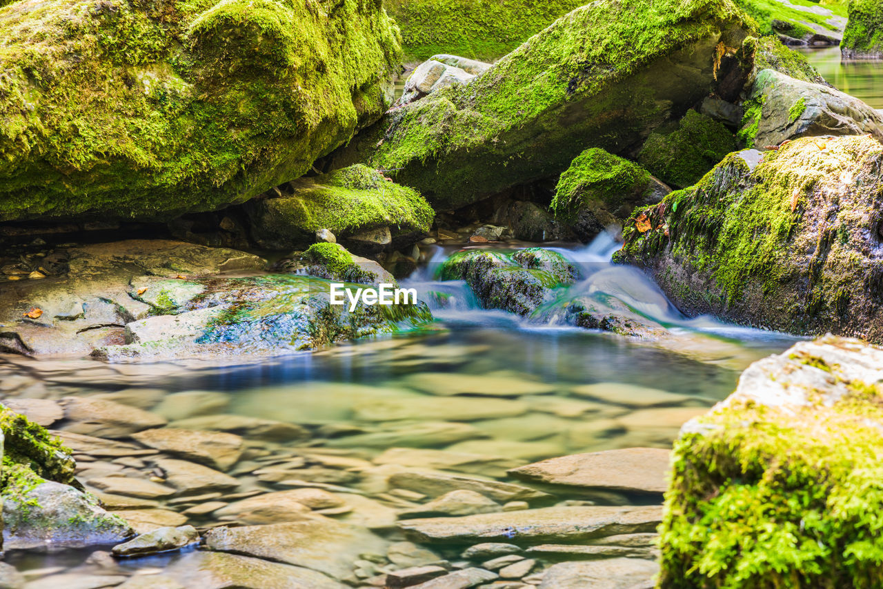 Gorge and waterfalls of the boncic. taipana. udine, friuli. italy