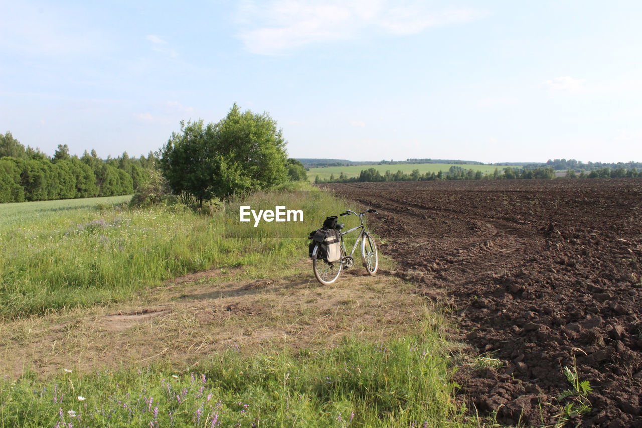 MAN WITH HORSE IN FIELD