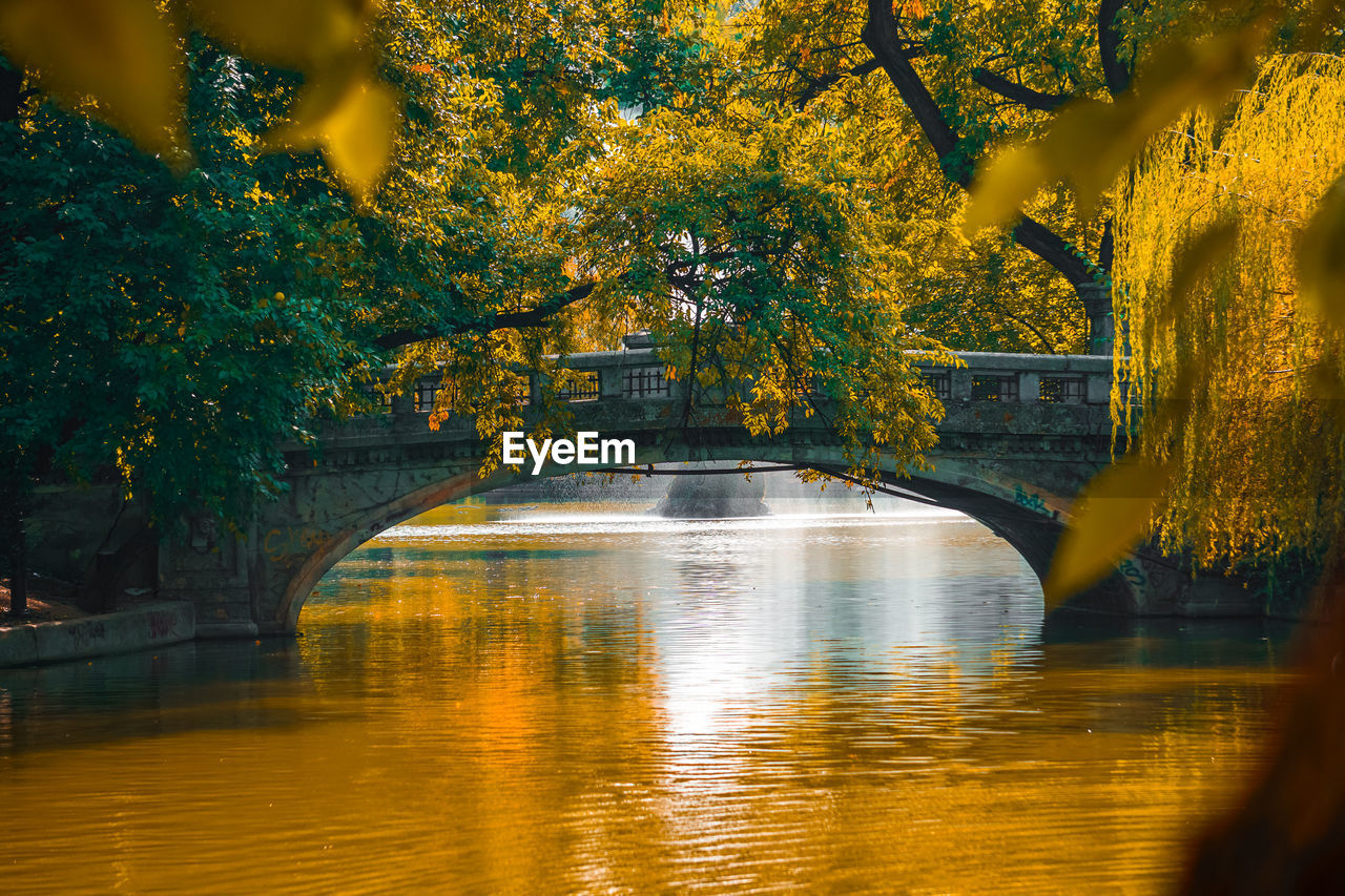 Bridge over river against trees