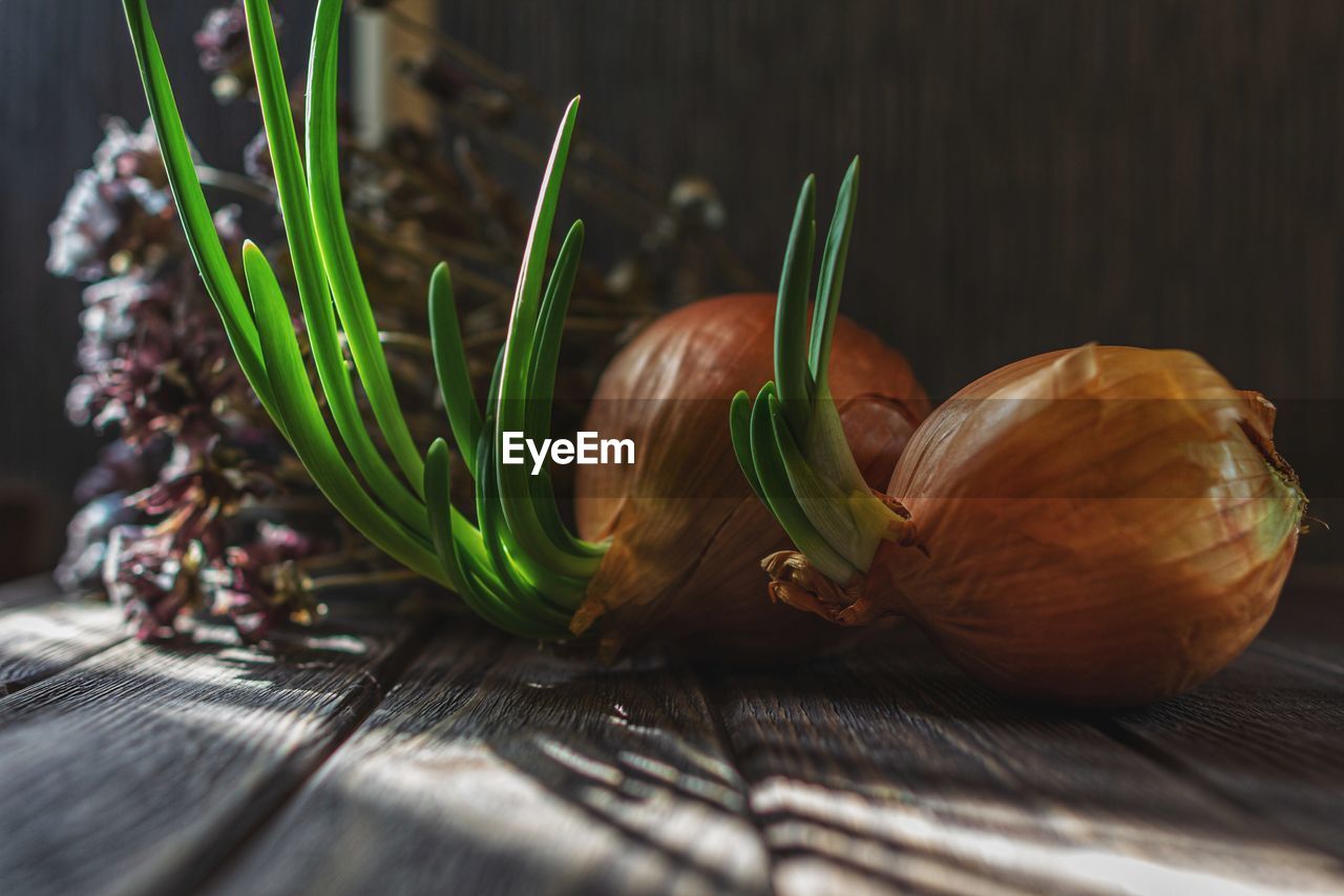 Close-up of onion on table