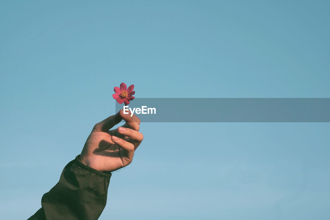 Cropped hand holding red rose against blue sky