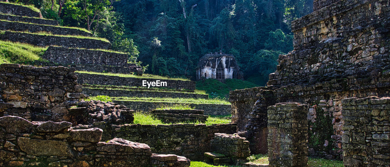 ruins, architecture, history, plant, ancient, the past, built structure, nature, old ruin, no people, rock, land, tree, travel, travel destinations, archaeological site, terrain, environment, building, religion, outdoors, landscape, ancient civilization, tourism, day, temple - building, ancient history, growth, old, green, rural area, building exterior, scenics - nature, wall, beauty in nature, staircase, tranquility, mountain, forest