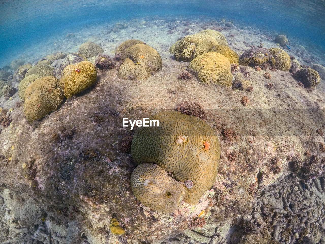 High angle view of rocks on beach