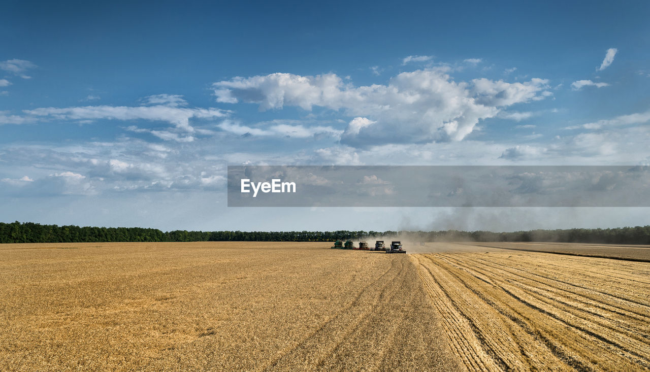 Combine harvester on field against sky at farm during sunset