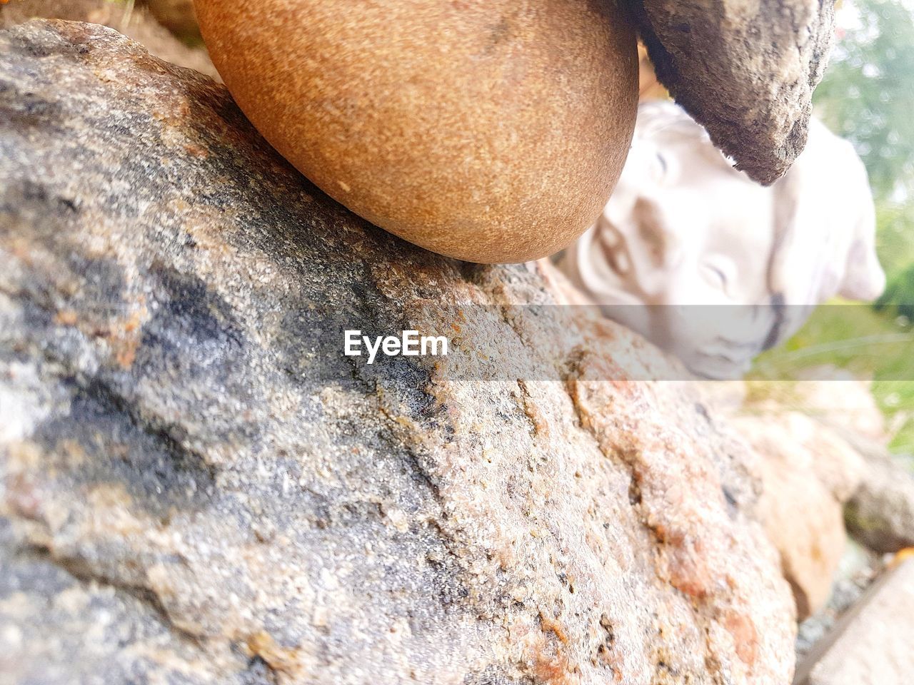 CLOSE-UP OF FRUIT ON ROCK