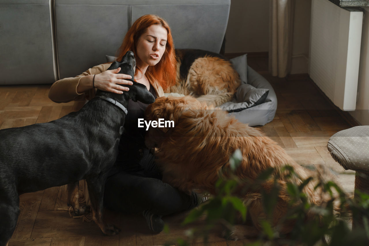 Ginger woman with three dogs cuddling on the floor pets friends at home with human. big dogs german