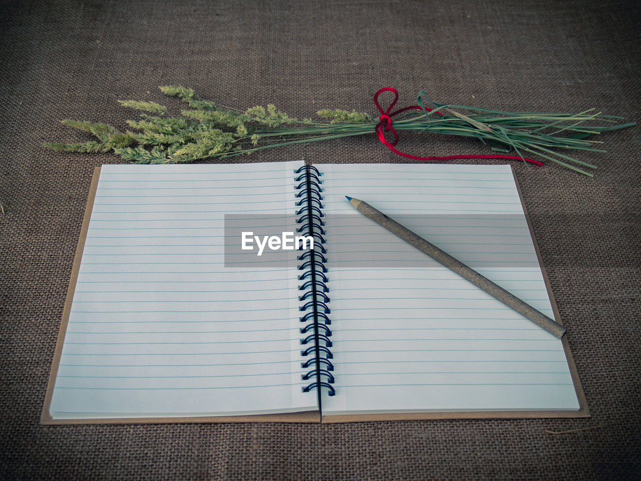 HIGH ANGLE VIEW OF POTTED PLANT ON TABLE AGAINST WALL