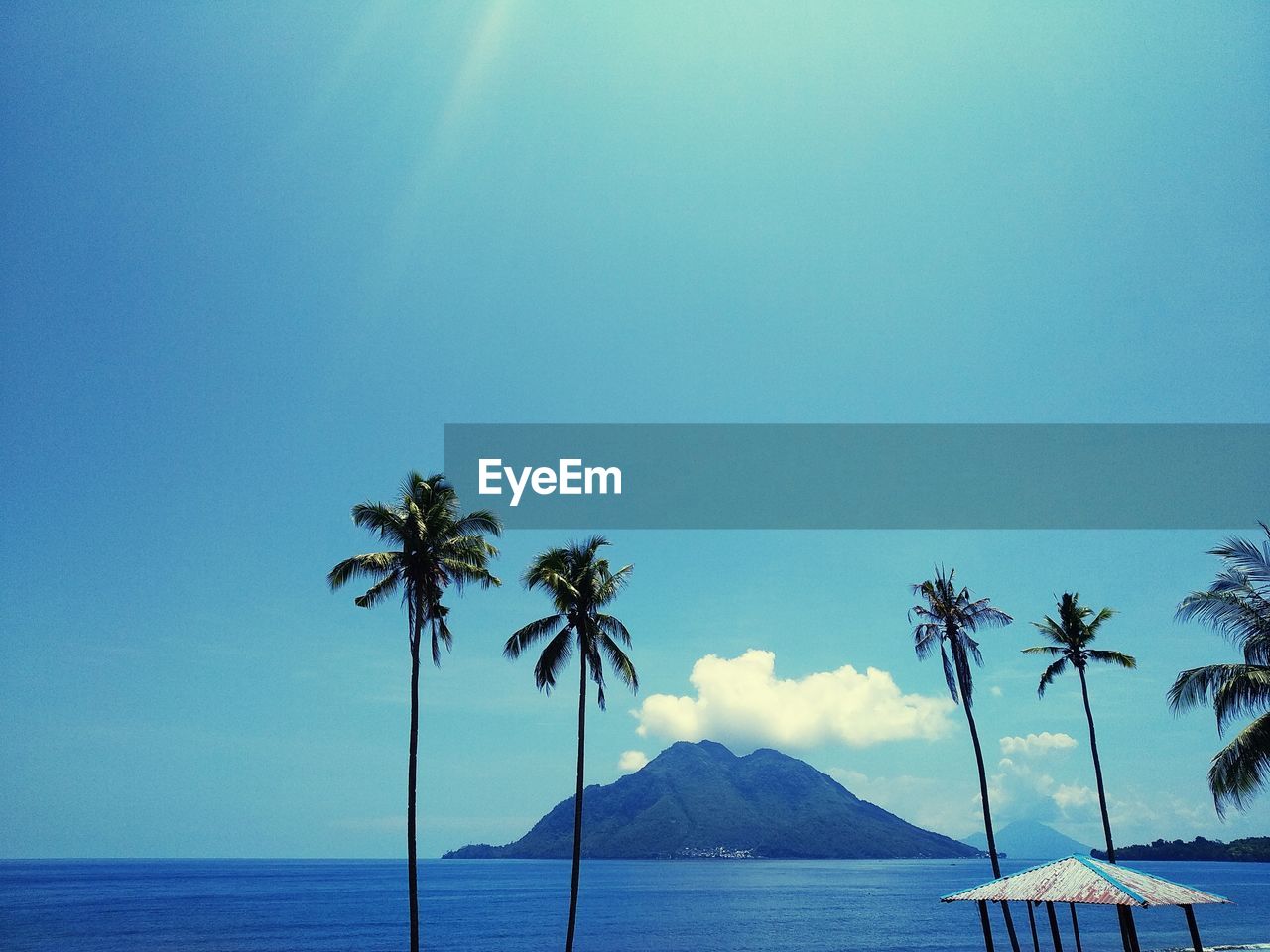 Palm trees on beach against blue sky