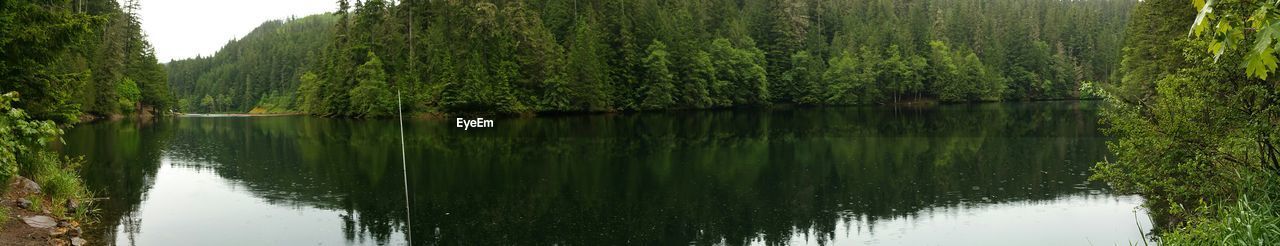 SCENIC VIEW OF LAKE BY TREES