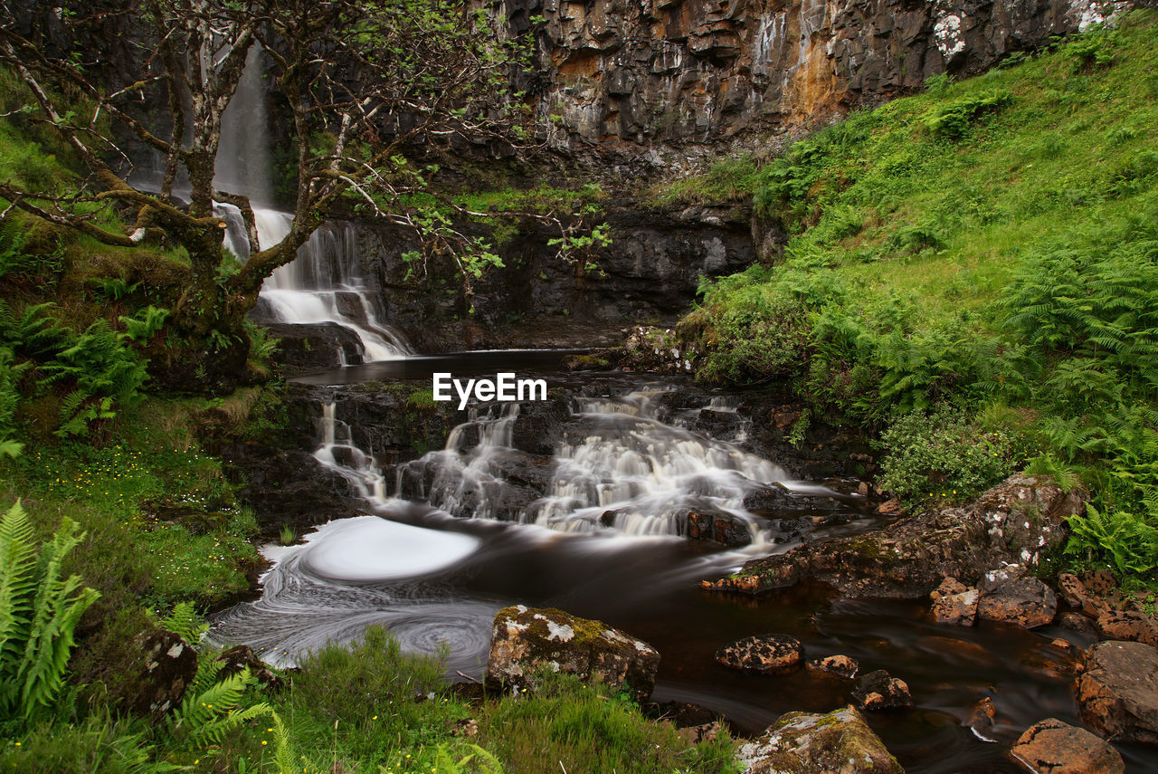 waterfall, water, plant, nature, beauty in nature, land, tree, scenics - nature, forest, stream, water feature, environment, rock, body of water, flowing water, wilderness, no people, motion, non-urban scene, long exposure, watercourse, river, tranquility, outdoors, flowing, green, day, creek, landscape, jungle, rainforest, growth, travel destinations, woodland, tranquil scene, idyllic, travel