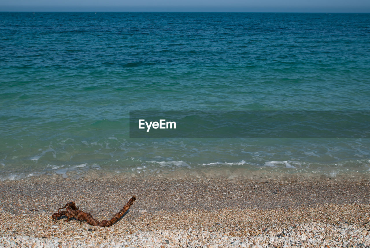 SCENIC VIEW OF SEA