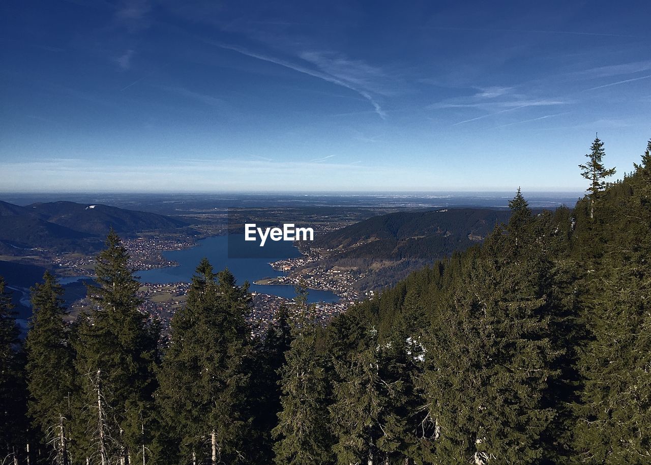 Scenic view of tree by mountains against blue sky