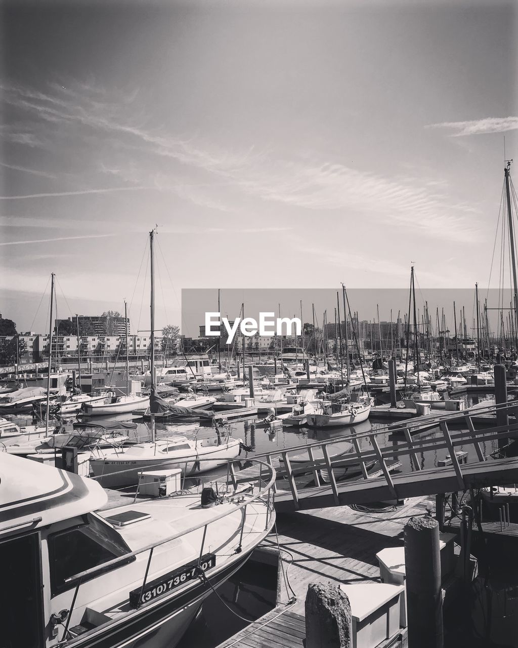 Sailboats moored at harbor