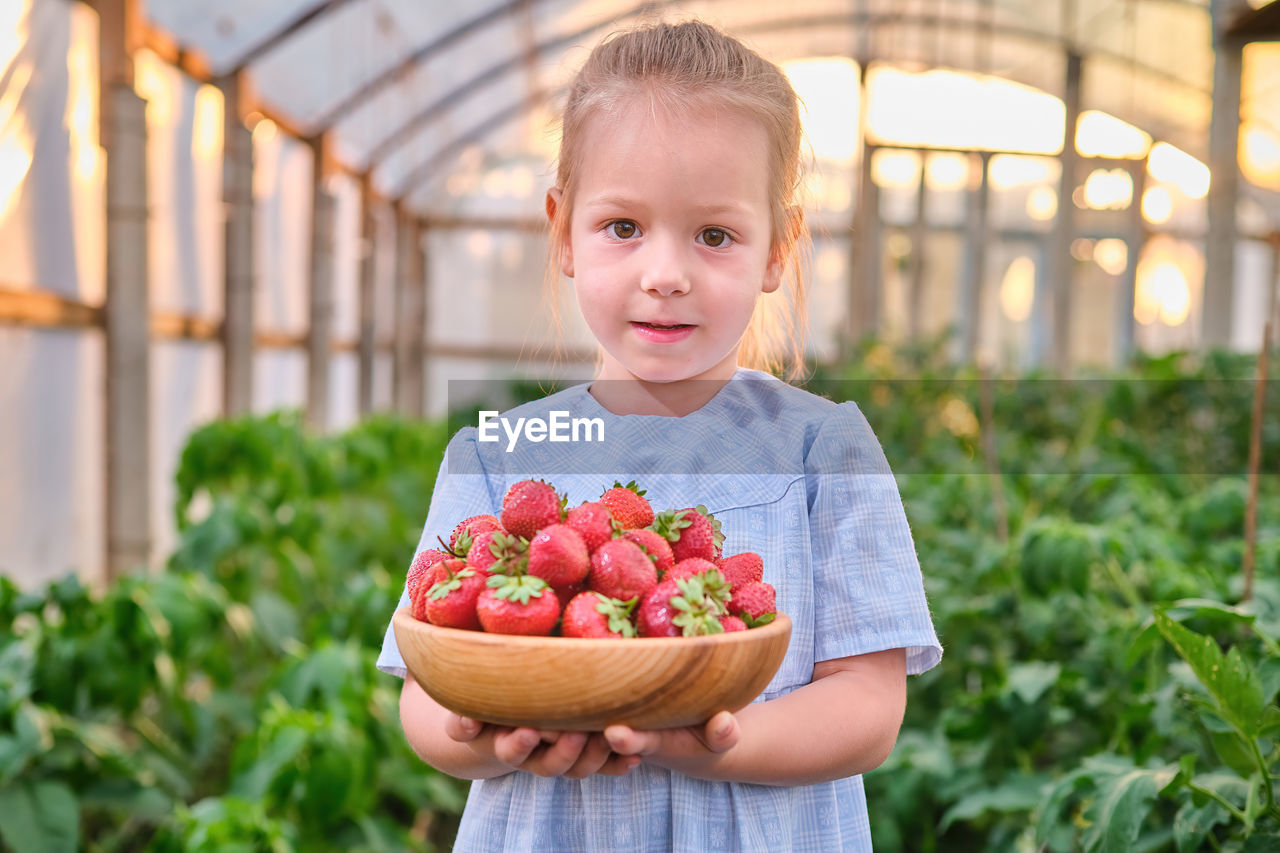 Adorable little girl holding plate fresh picked ripe strawberries berry farm