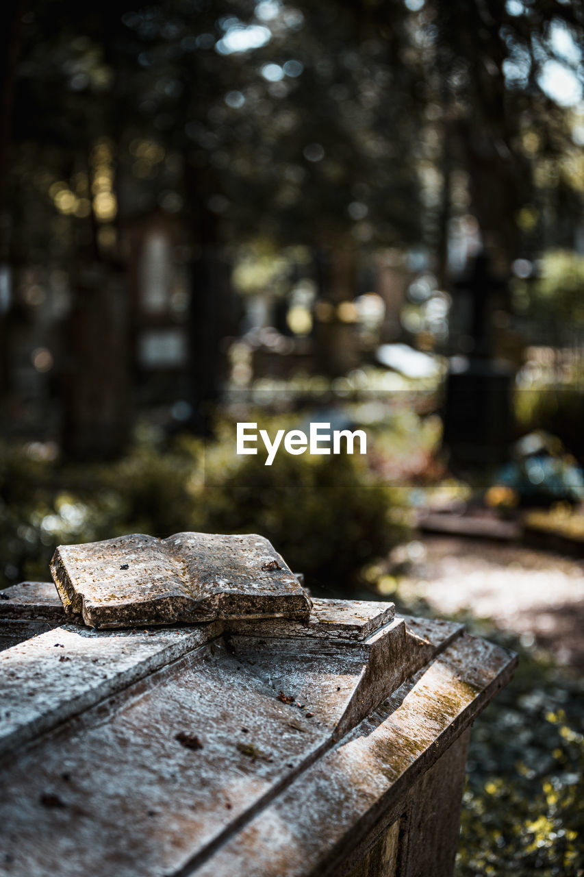 Close-up of wood on cemetery