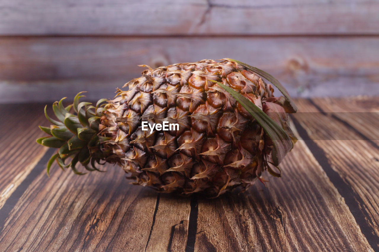 CLOSE-UP OF FRUIT GROWING ON TABLE