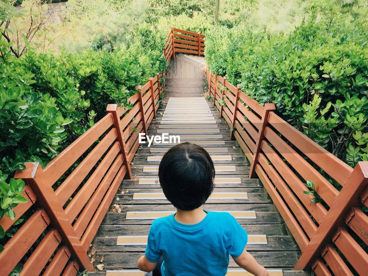 Rear view of boy moving down on steps