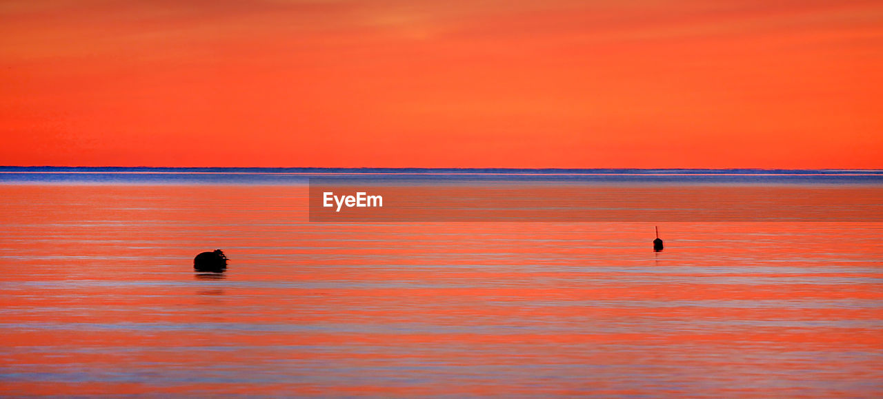 Orange sunset at chatham, cape cod